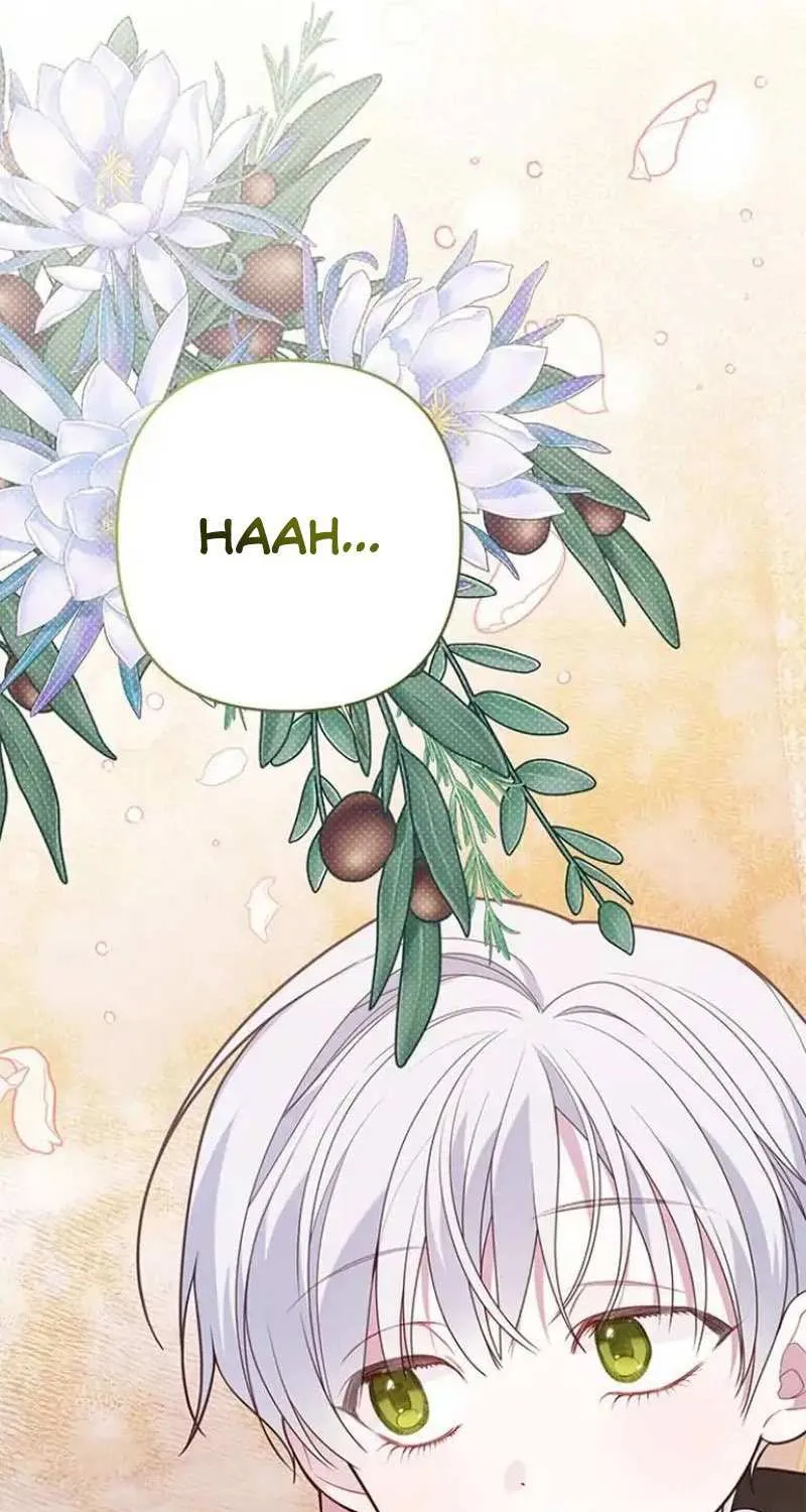 Born a Princess Chapter 29 page 71 - 