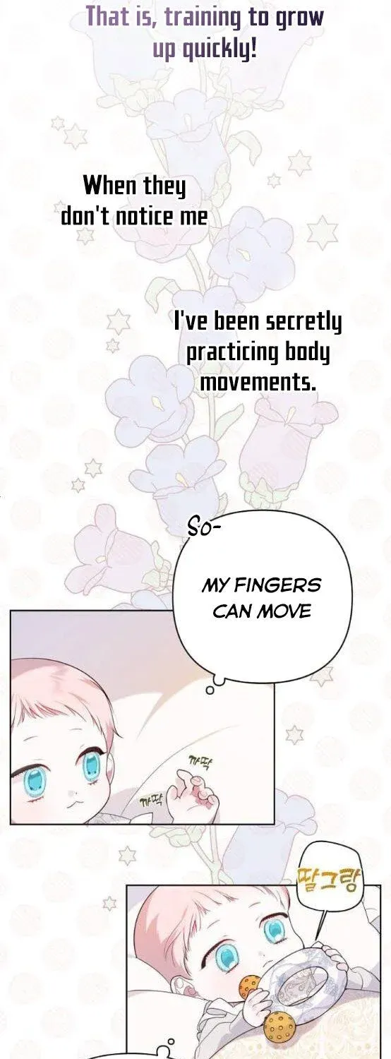 Born a Princess Chapter 3 page 43 - 