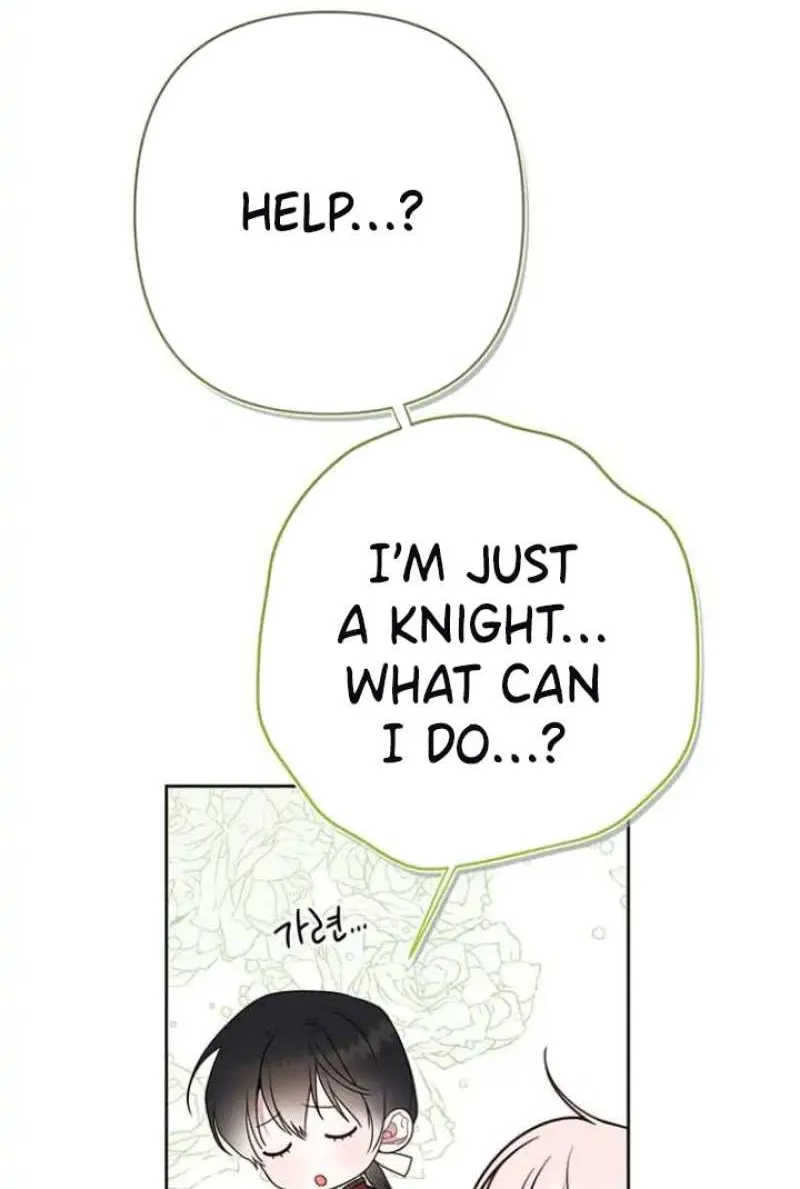Born a Princess Chapter 30 page 41 - 