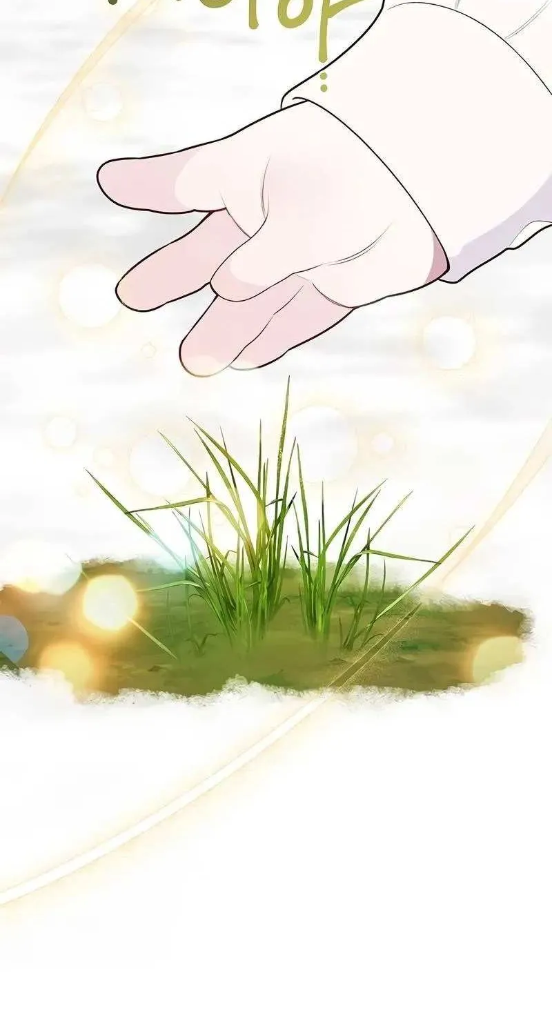 Born a Princess Chapter 32 page 64 - 
