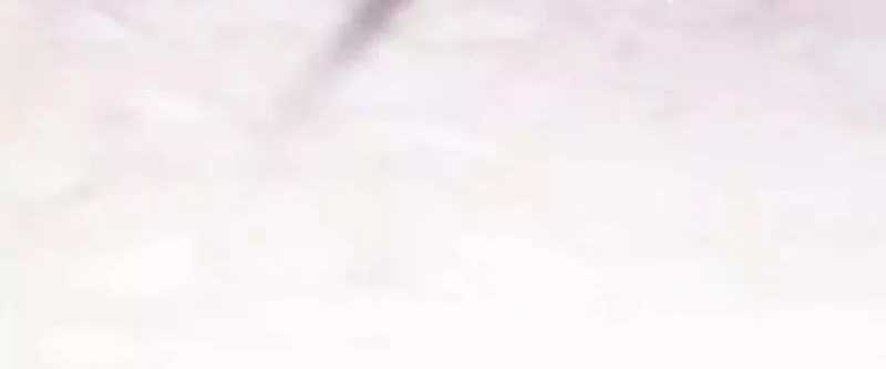 Born a Princess Chapter 33 page 75 - 