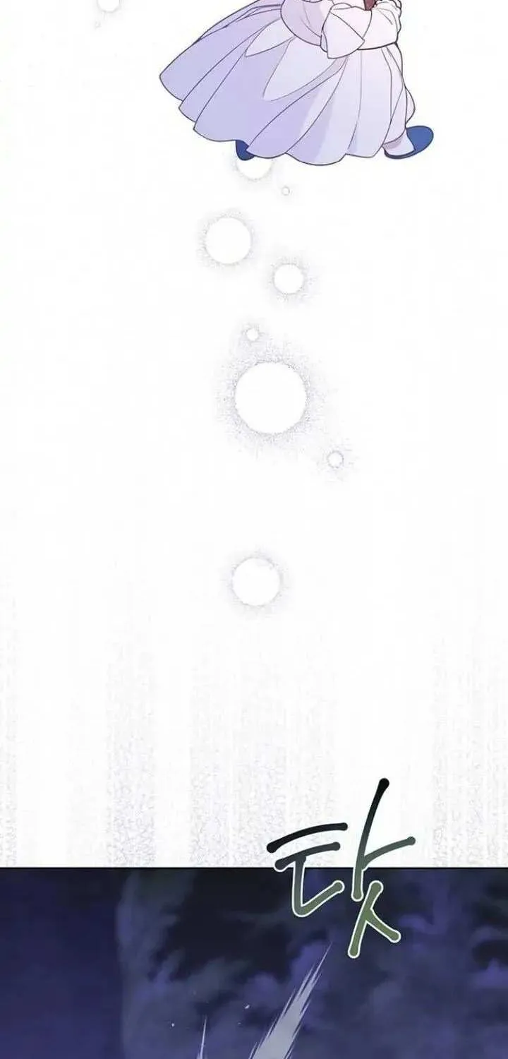 Born a Princess Chapter 37 page 44 - 