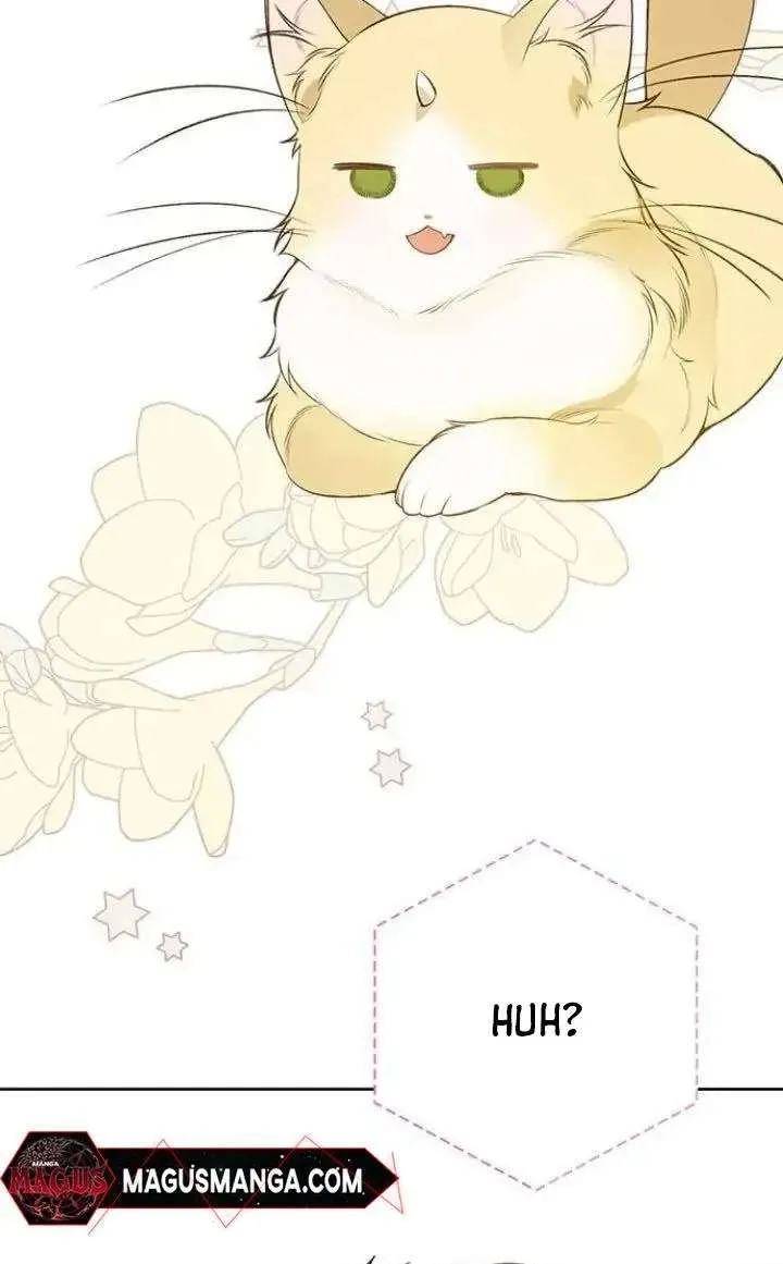 Born a Princess Chapter 37 page 67 - 