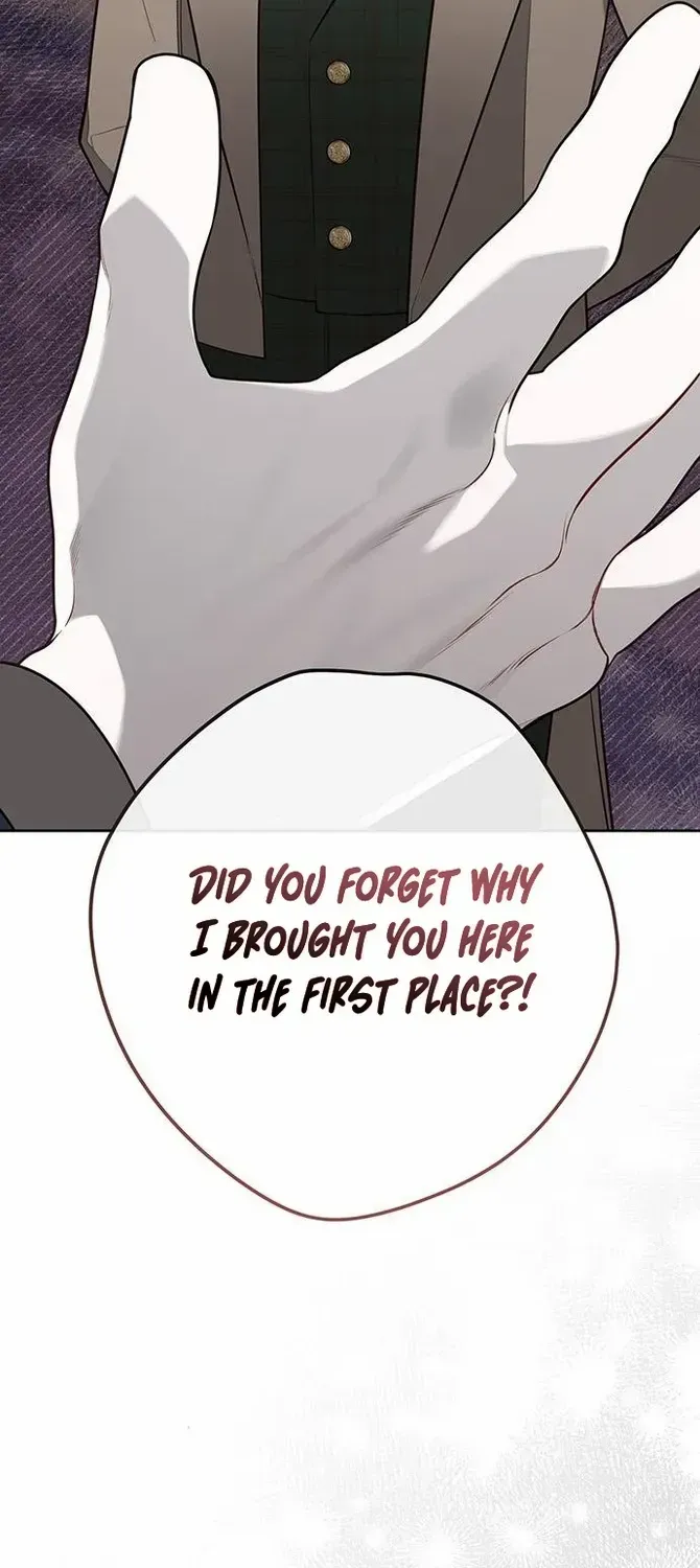 Born a Princess Chapter 39 page 67 - 