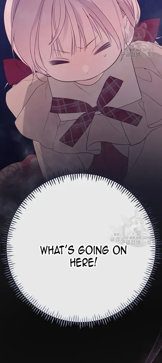 Born a Princess Chapter 41 page 29 - 