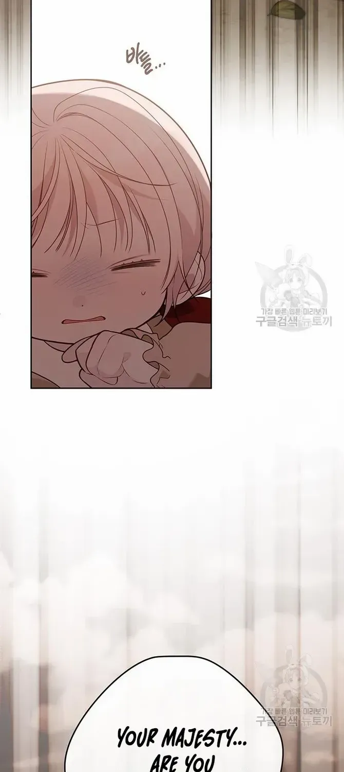 Born a Princess Chapter 41 page 45 - 