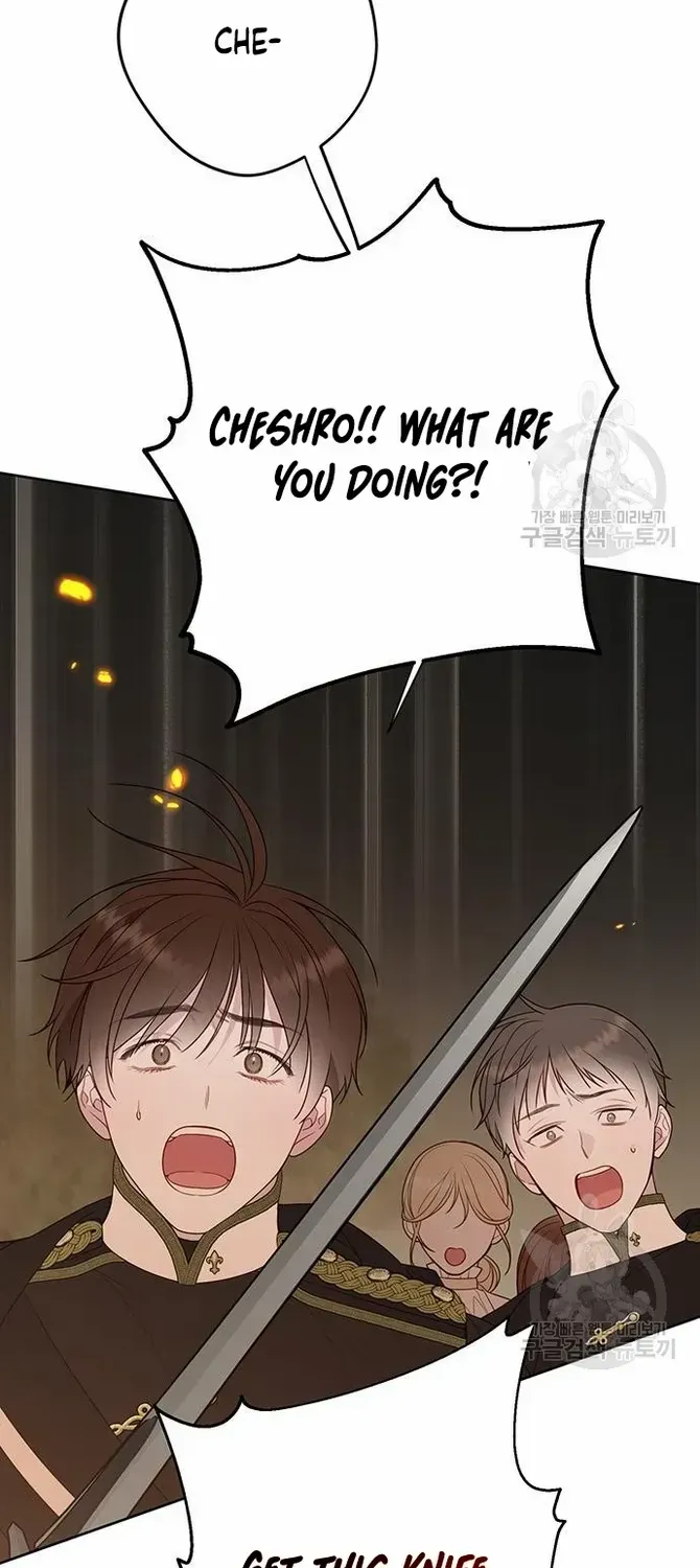 Born a Princess Chapter 41 page 62 - 
