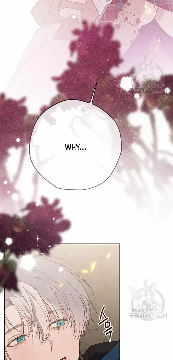 Born a Princess Chapter 42 page 36 - 