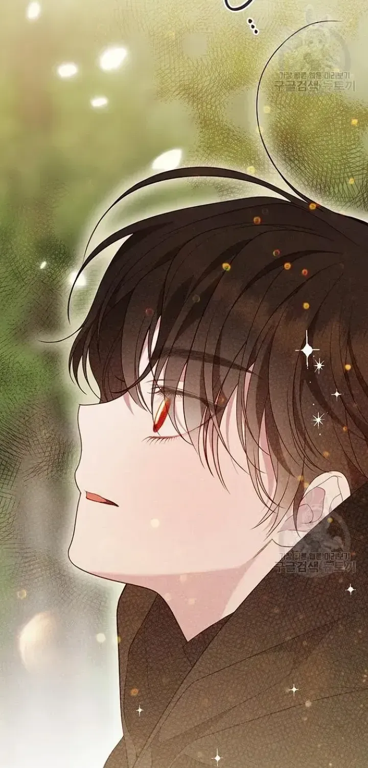 Born a Princess Chapter 42 page 81 - 
