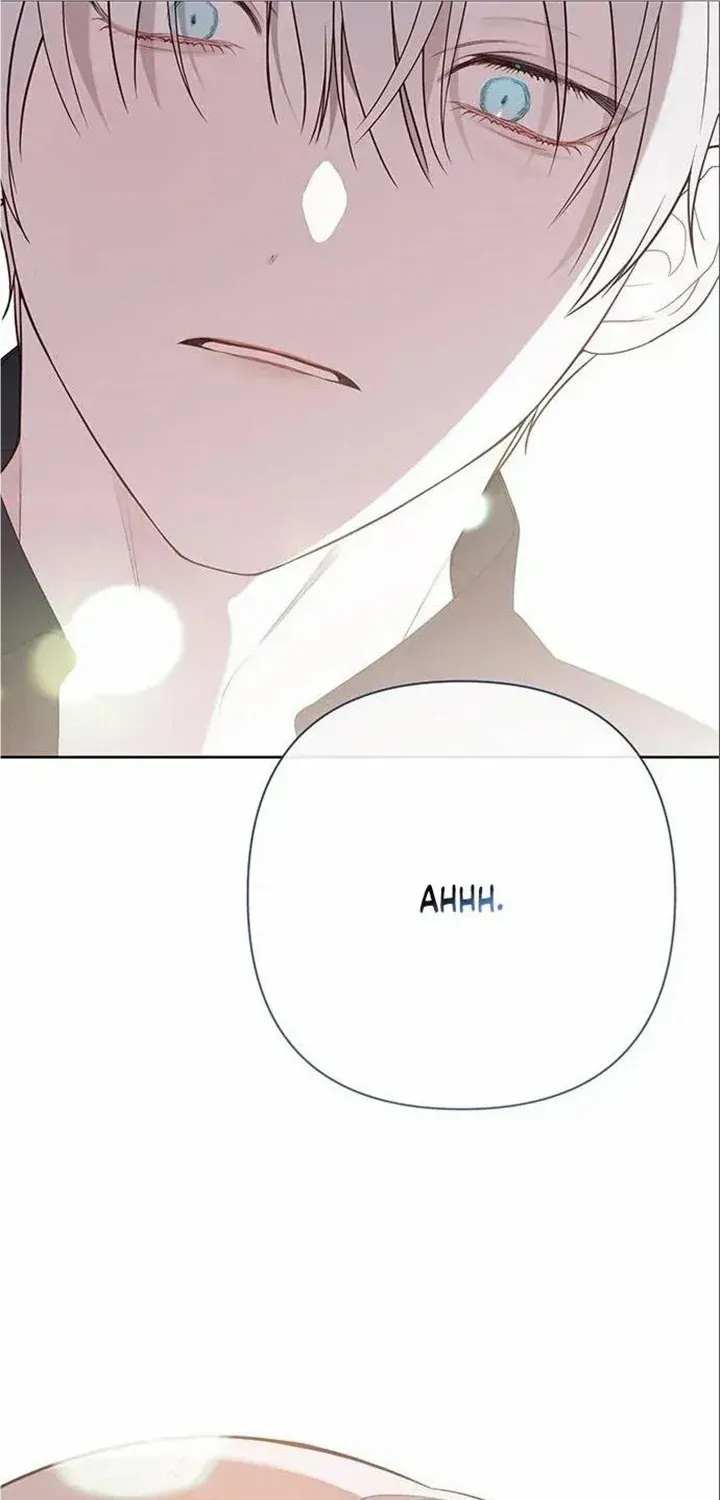 Born a Princess Chapter 44 page 91 - 