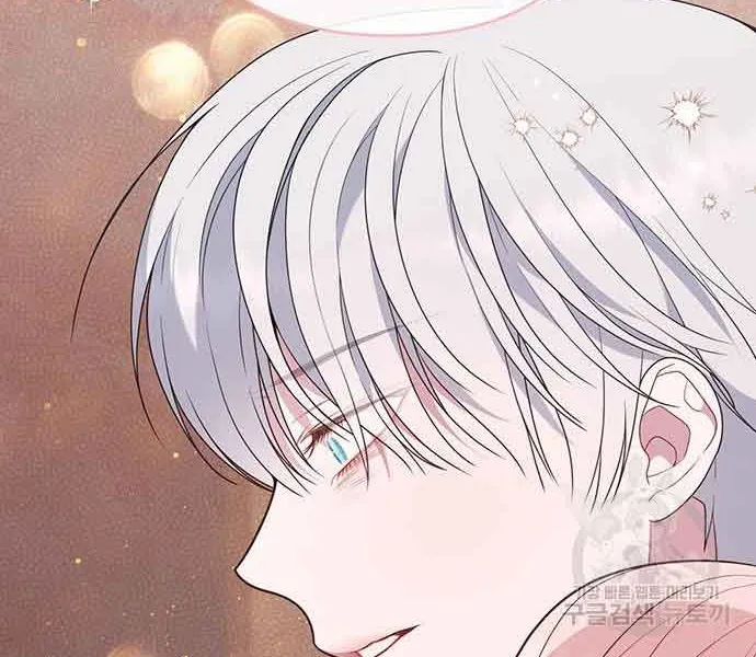 Born a Princess Chapter 45 page 12 - 