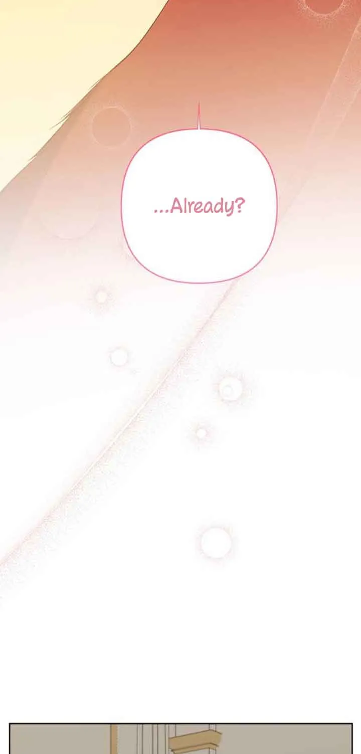 Born a Princess Chapter 48 page 27 - 