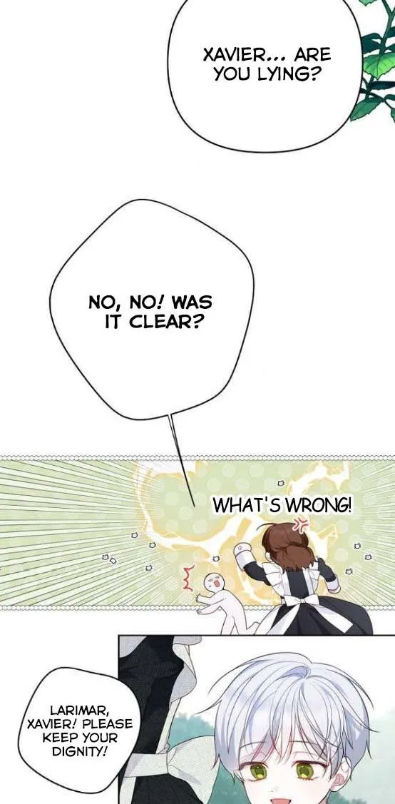 Born a Princess Chapter 5 page 35 - 
