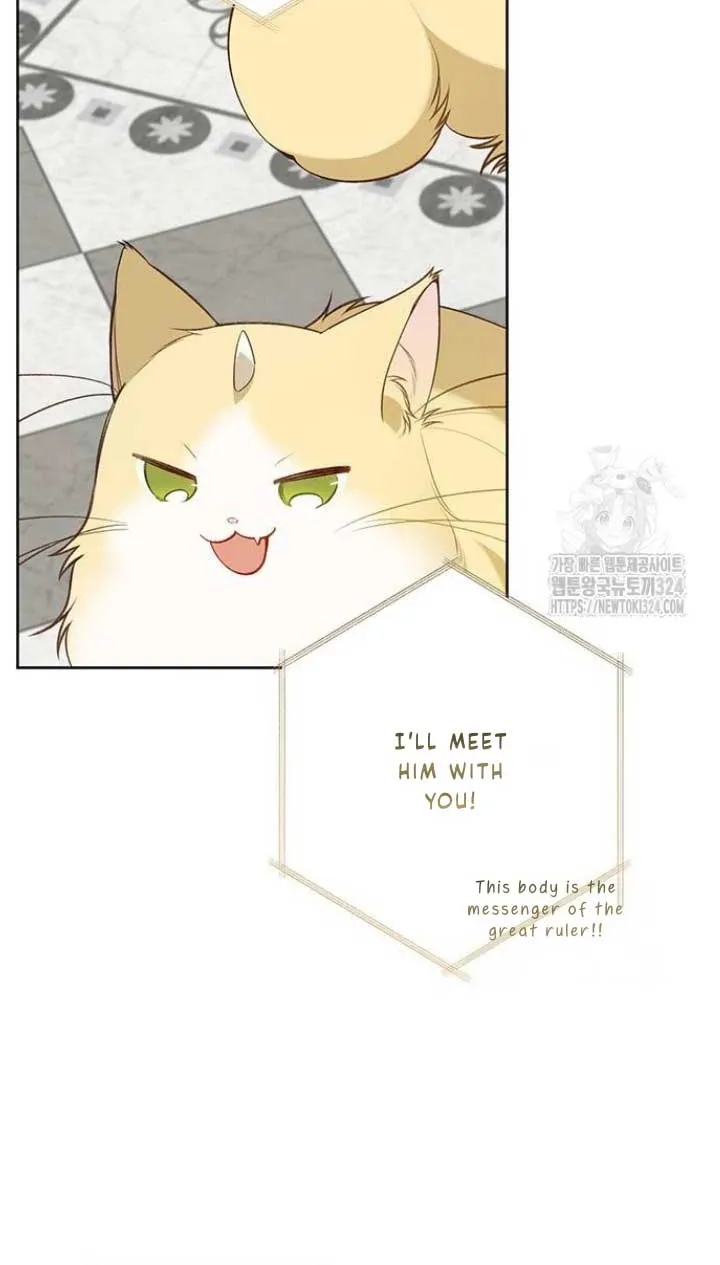 Born a Princess Chapter 55 page 47 - 