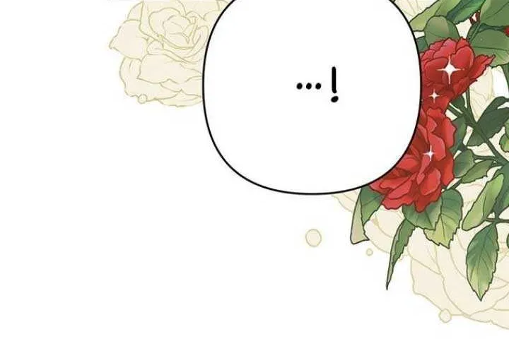 Born a Princess Chapter 55 page 76 - 