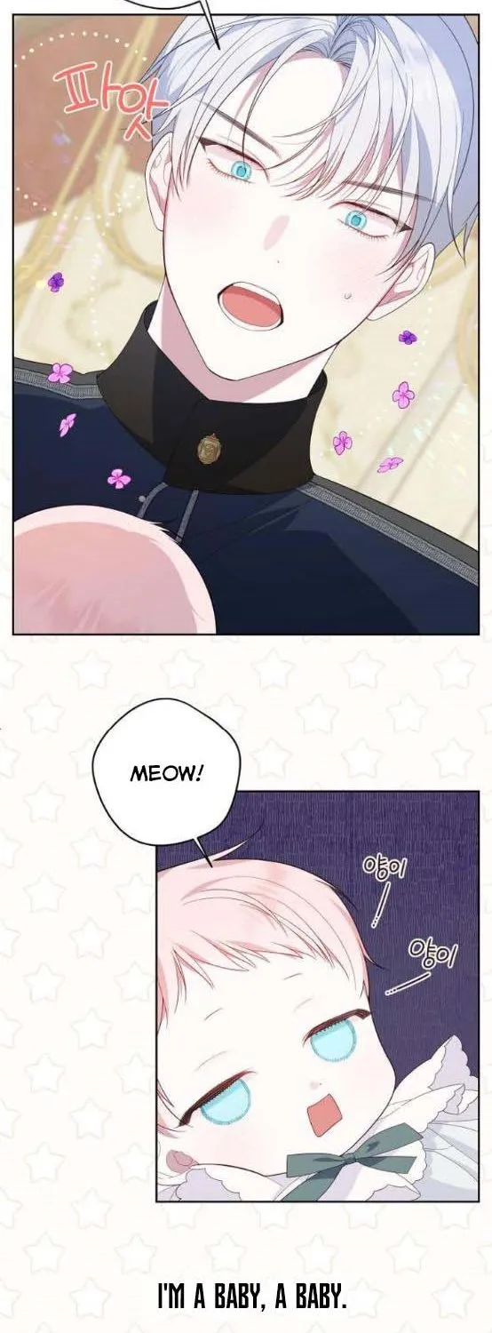 Born a Princess Chapter 6 page 68 - 