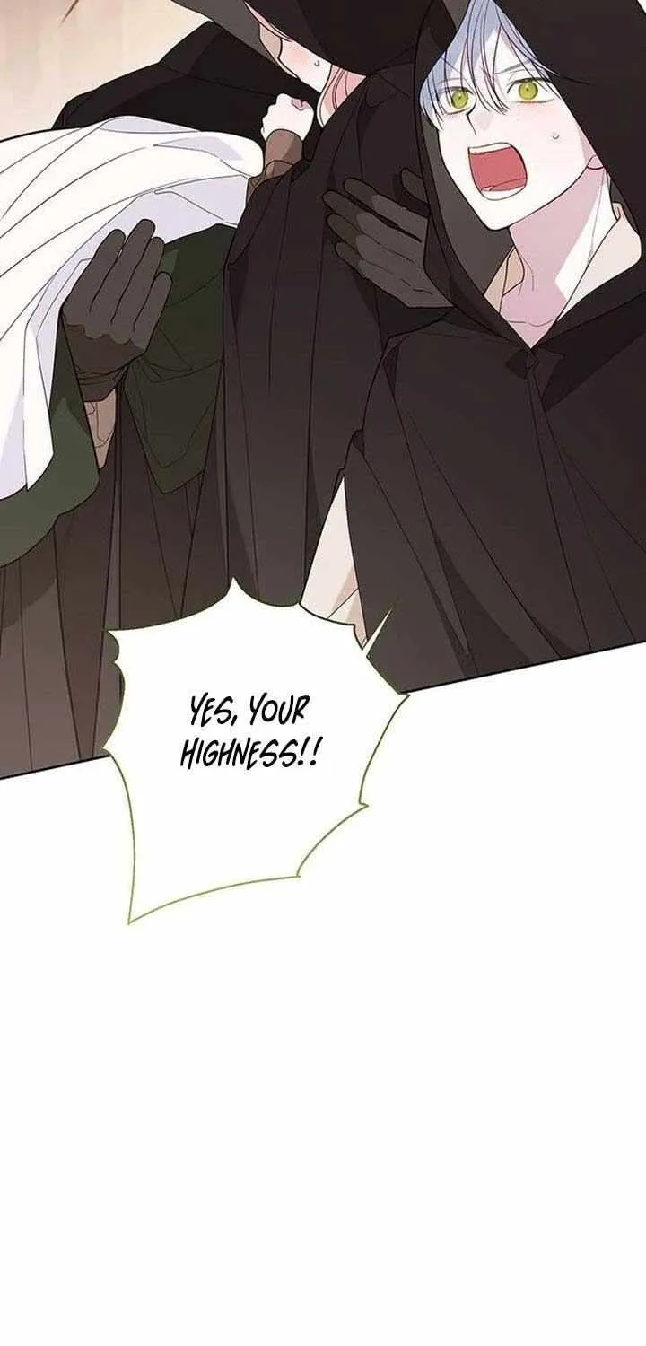 Born a Princess Chapter 77 page 65 - 