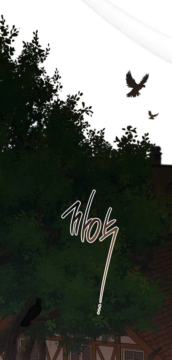 Born a Princess Chapter 78 page 100 - 