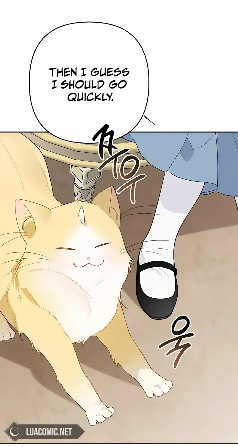 Born a Princess Chapter 79 page 38 - 