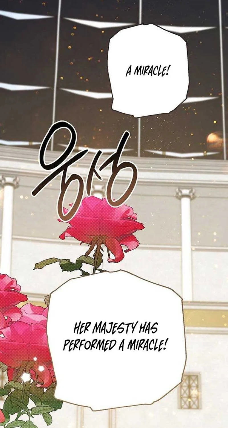 Born a Princess Chapter 84 page 118 - 