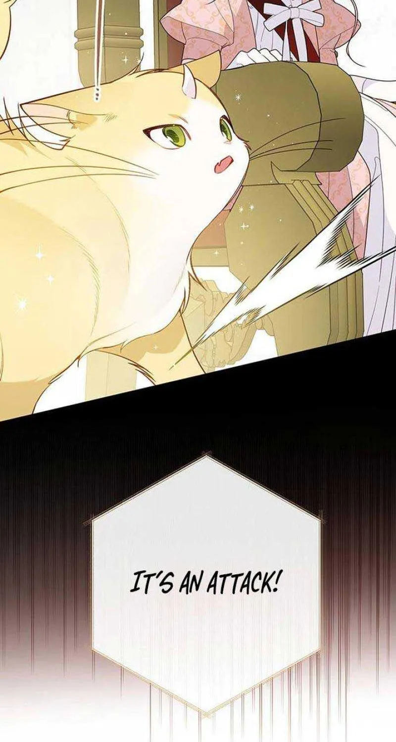 Born a Princess Chapter 84 page 27 - 