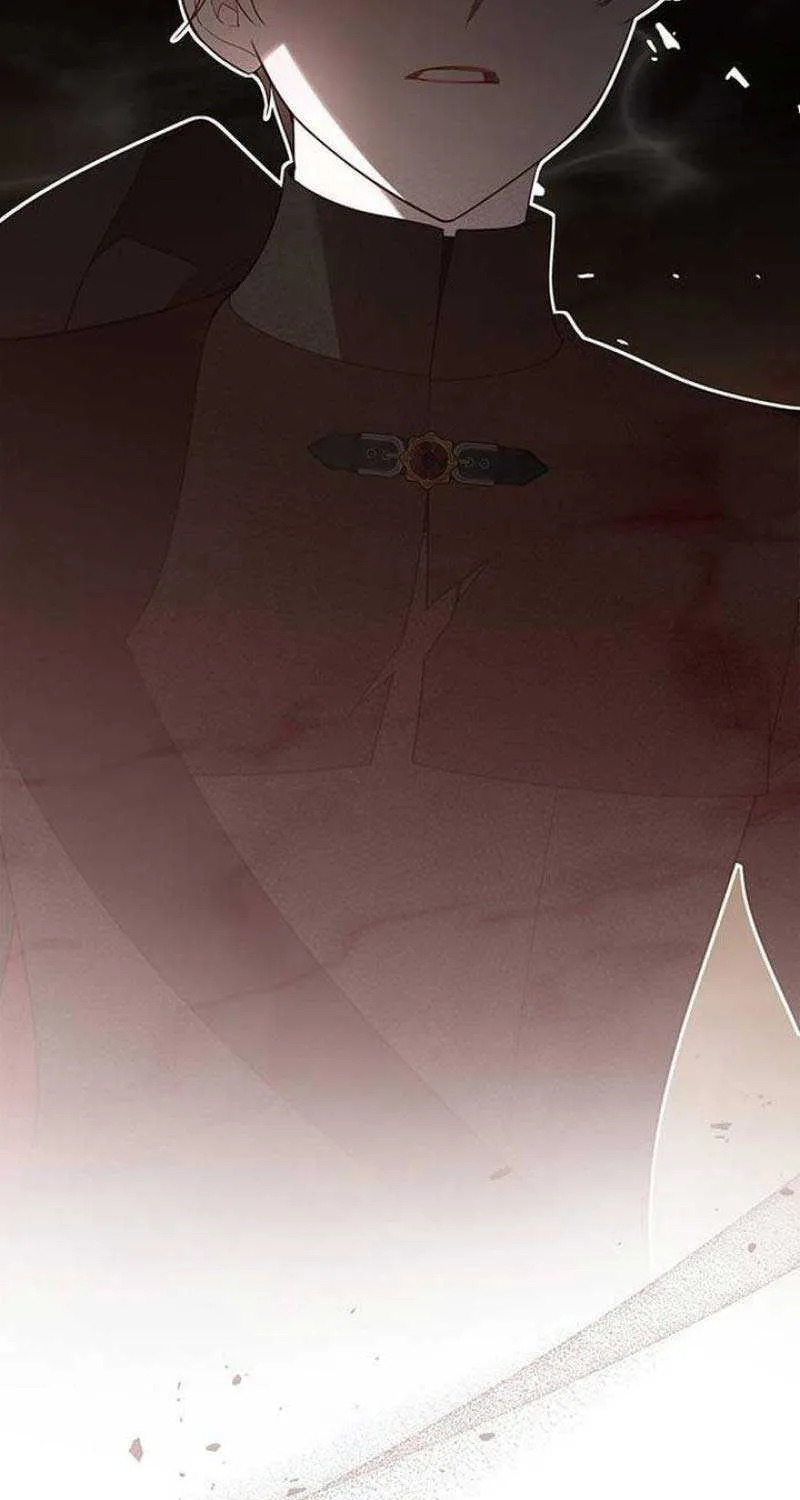 Born a Princess Chapter 84 page 100 - 
