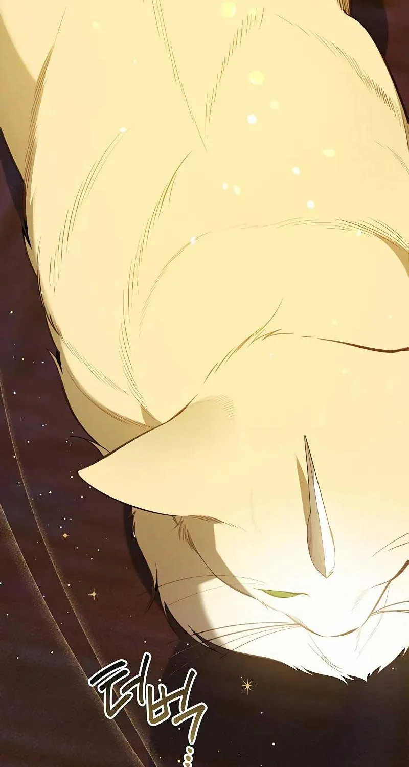 Born a Princess Chapter 85 page 118 - 