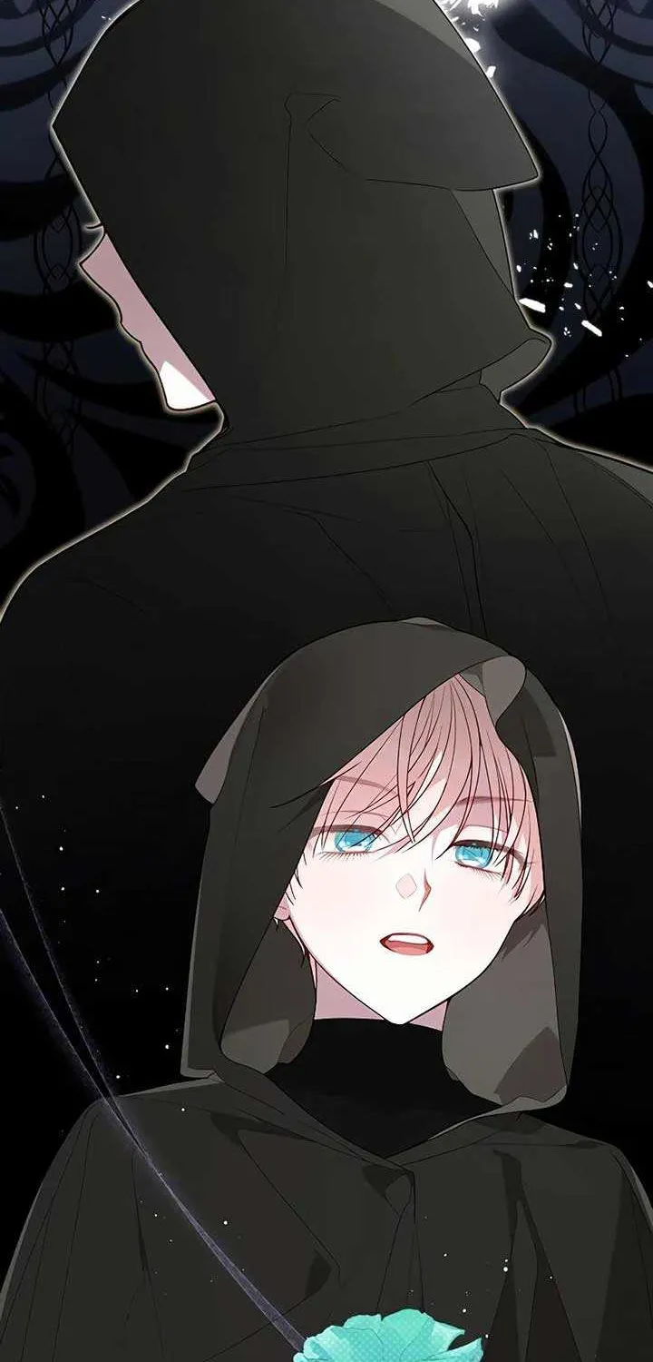 Born a Princess Chapter 87 page 29 - 