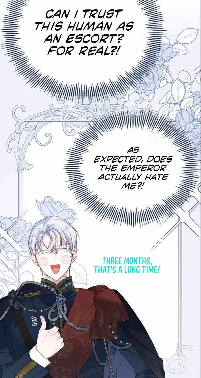 Born a Princess Chapter 9 page 91 - 