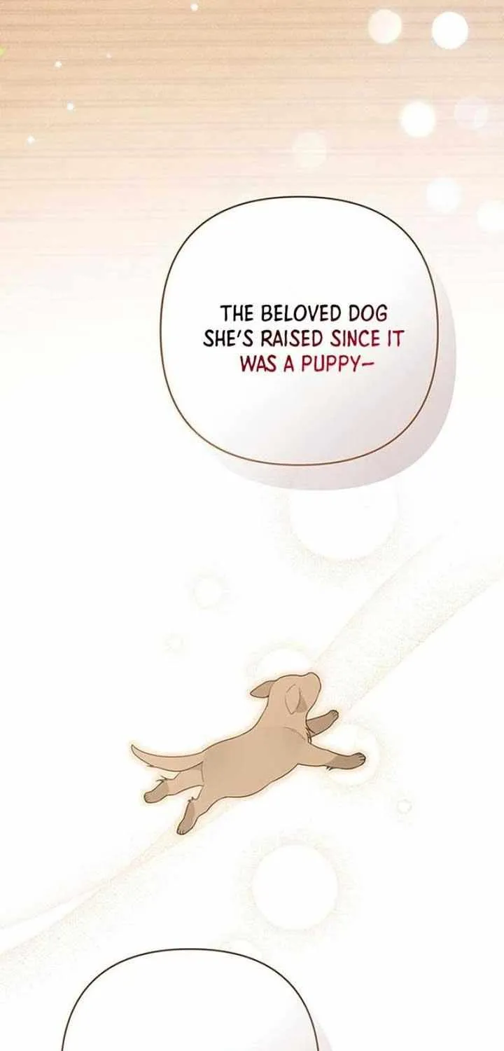 Born a Princess Chapter 91 page 68 - 