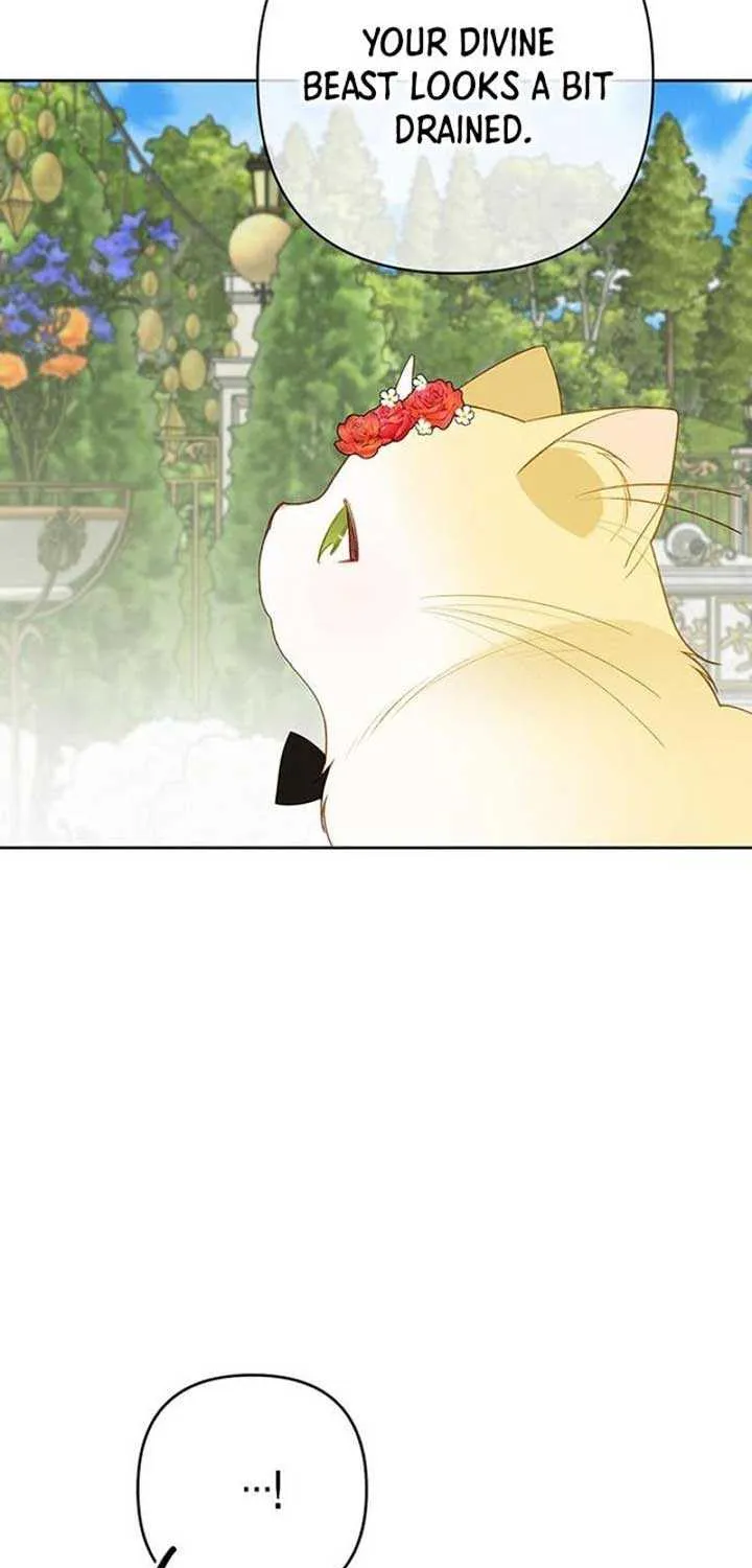 Born a Princess Chapter 92 page 67 - 
