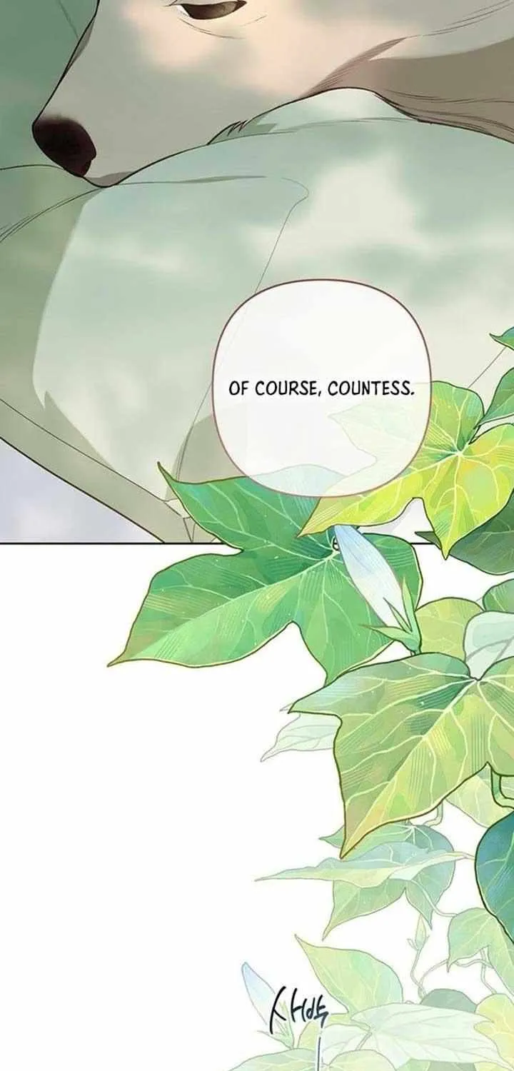 Born a Princess Chapter 94 page 29 - 