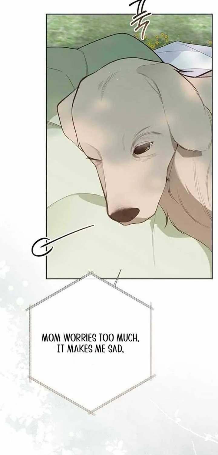 Born a Princess Chapter 94 page 33 - 