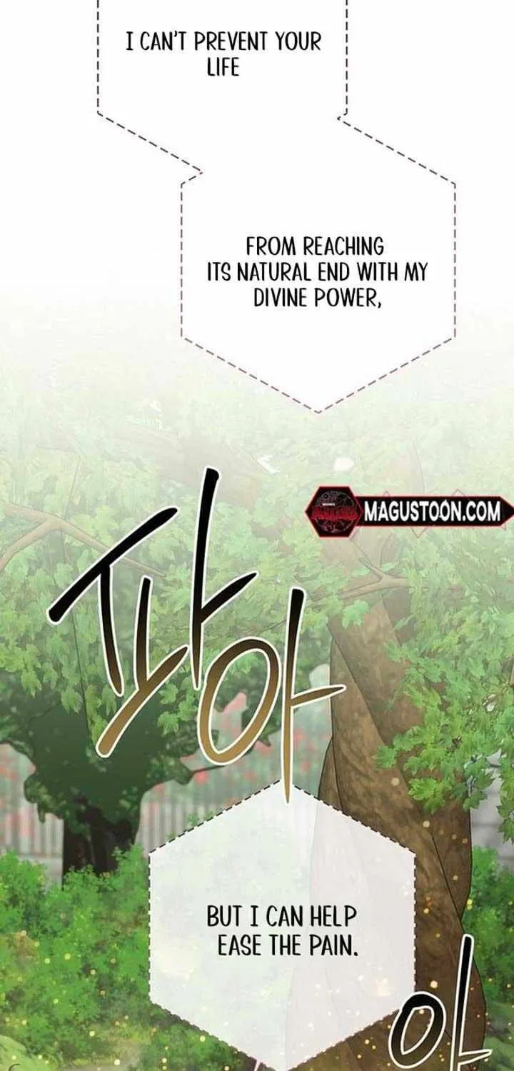 Born a Princess Chapter 94 page 38 - 