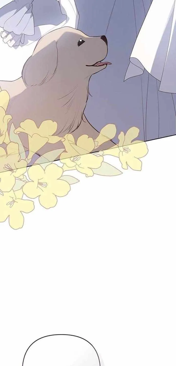 Born a Princess Chapter 94 page 65 - 