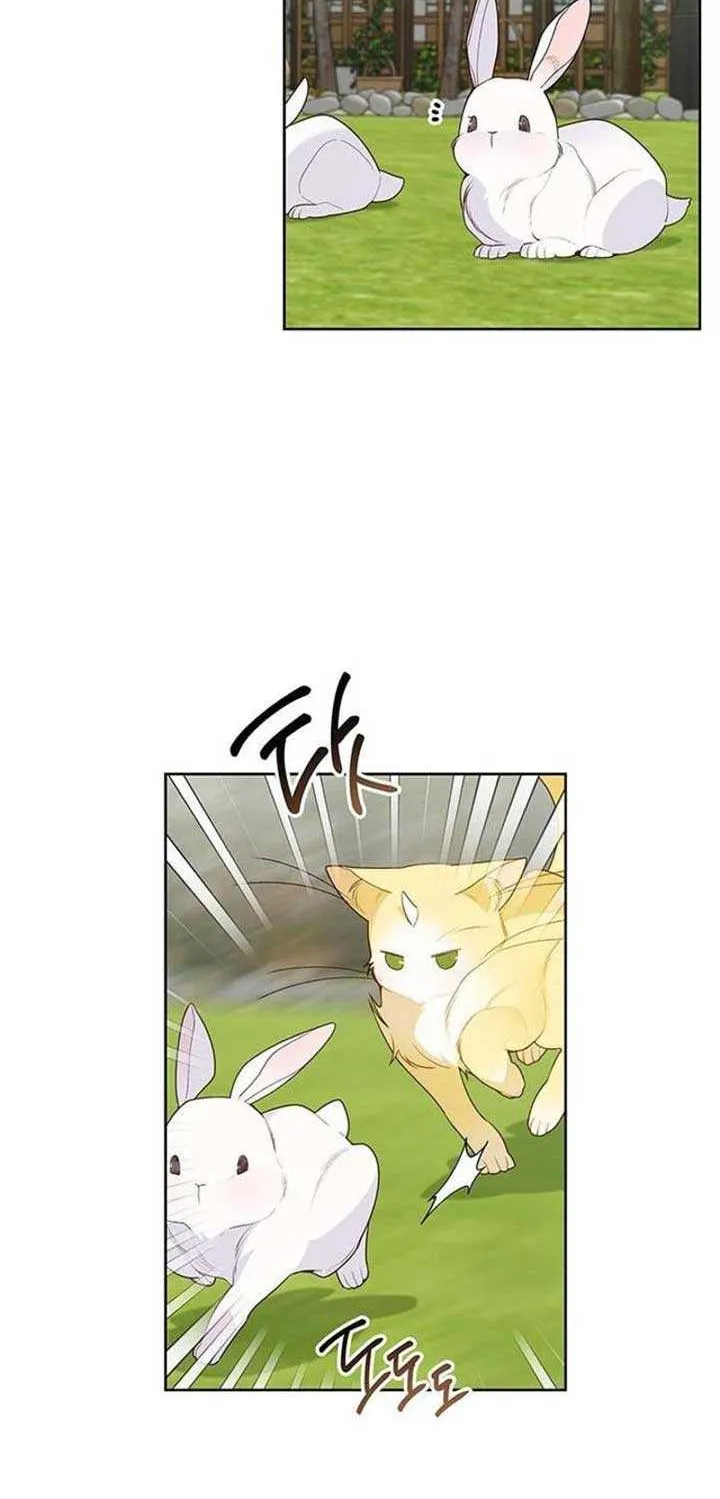 Born a Princess Chapter 95 page 60 - 