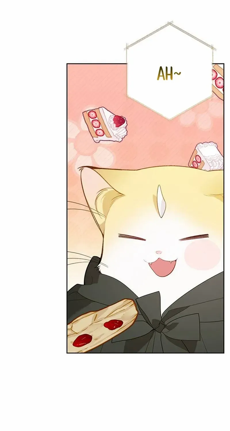 Born a Princess Chapter 97 page 12 - 