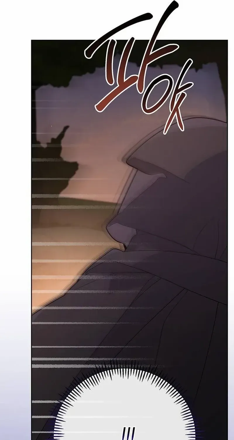 Born a Princess Chapter 98 page 61 - 
