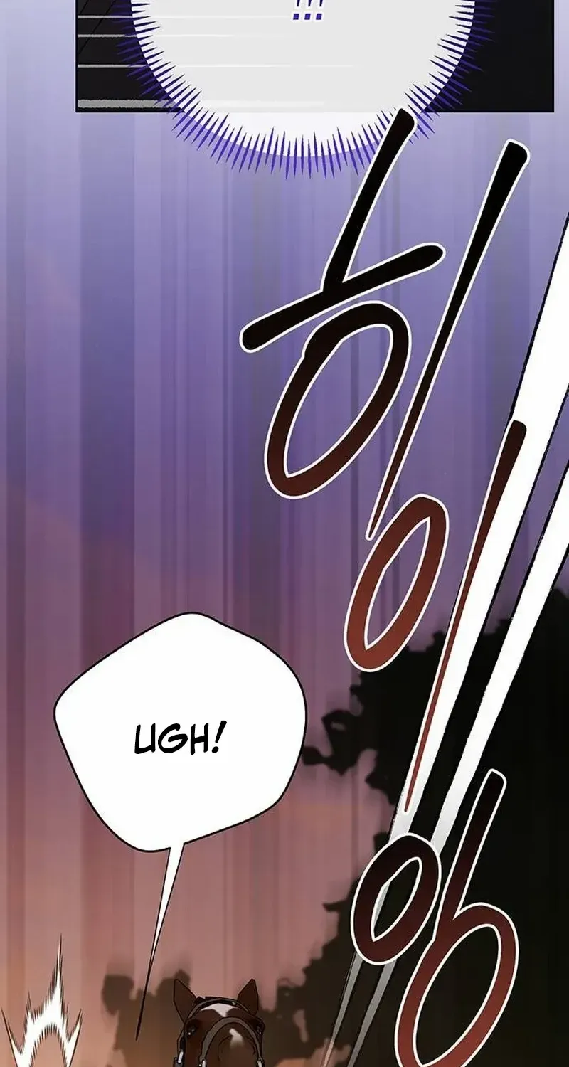 Born a Princess Chapter 98 page 62 - 