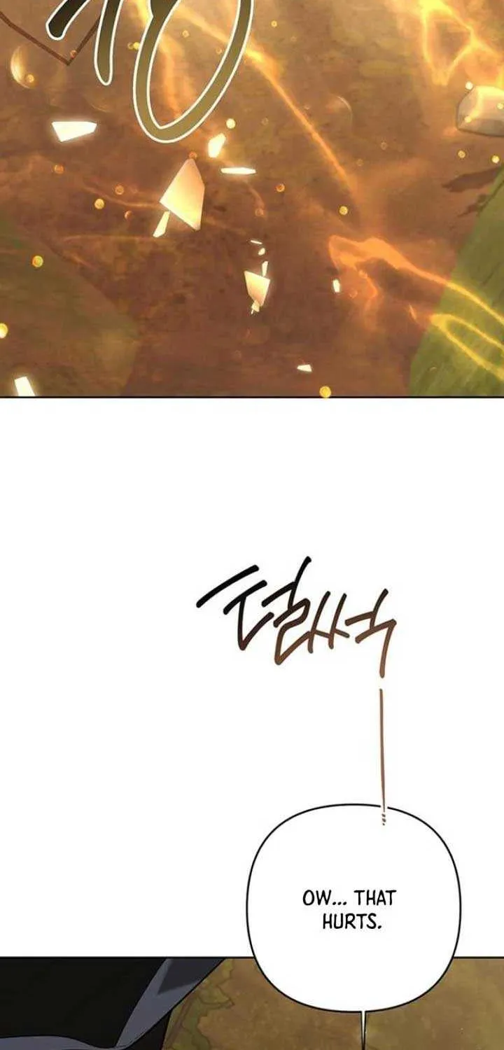 Born a Princess Chapter 99 page 14 - 
