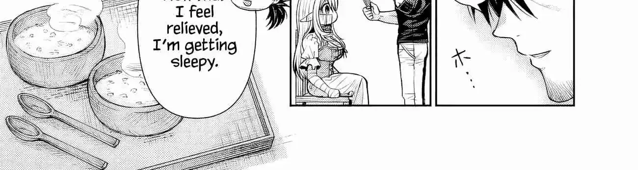 Boroboro no Elf-san o Shiawase ni Suru Kusuriuri-san Chapter 2 page 29 - 