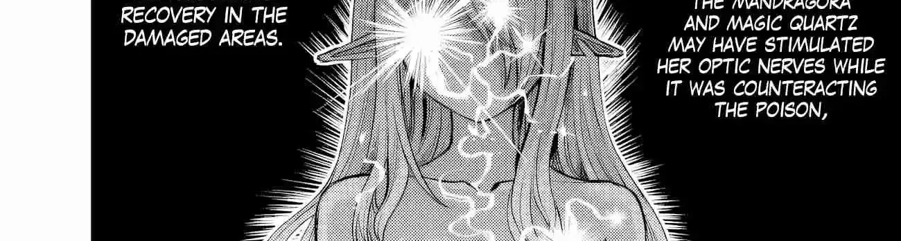 Boroboro no Elf-san o Shiawase ni Suru Kusuriuri-san Chapter 5 page 25 - 