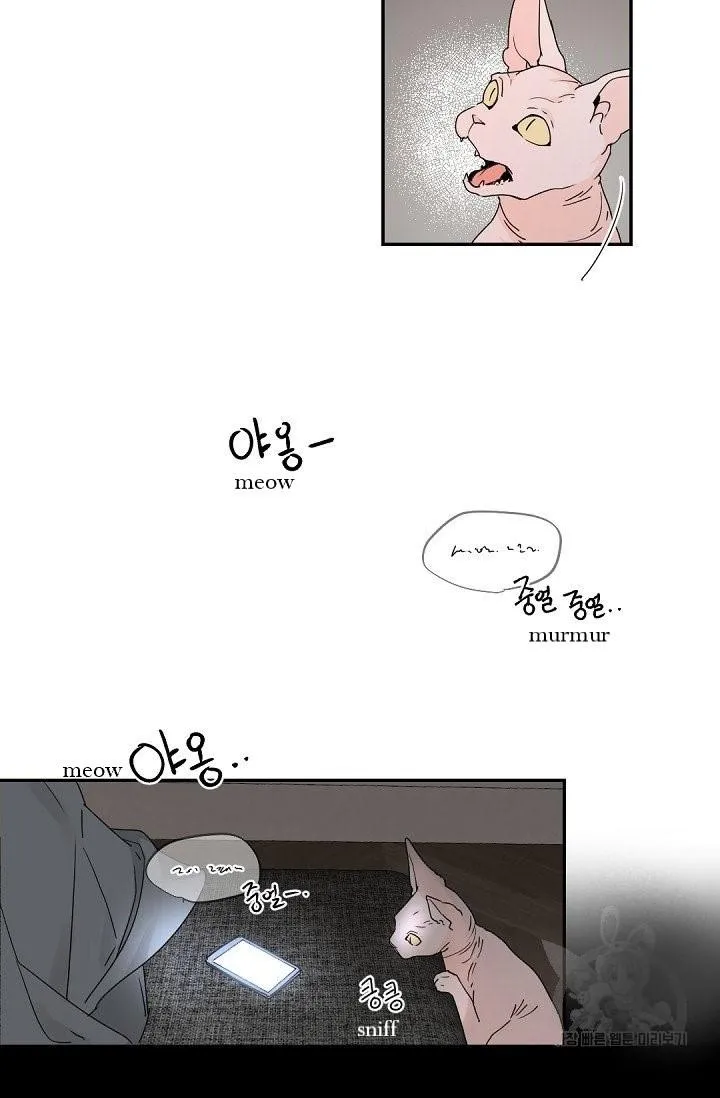 Boss Bitch Baby Chapter 33 page 46 - 