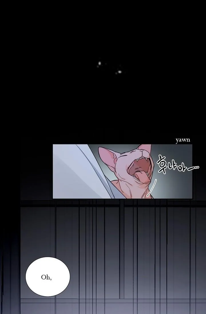 Boss Bitch Baby Chapter 49 page 27 - 