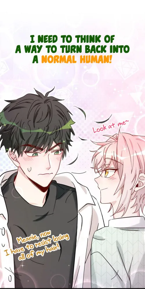Botanic Romance Chapter 0 page 18 - 