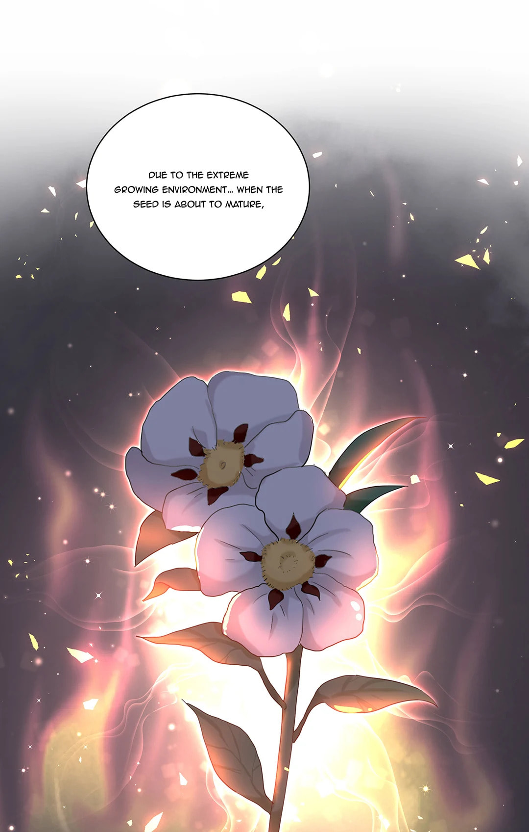 Botanic Romance Chapter 51 page 35 - 
