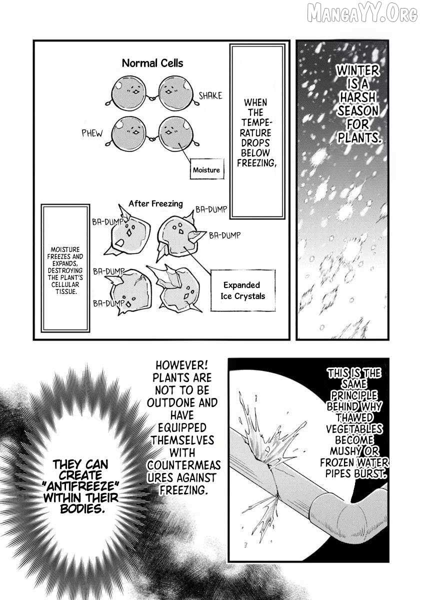 Boukensha Sakaba no Ryourijin Chapter 11 page 24 - 