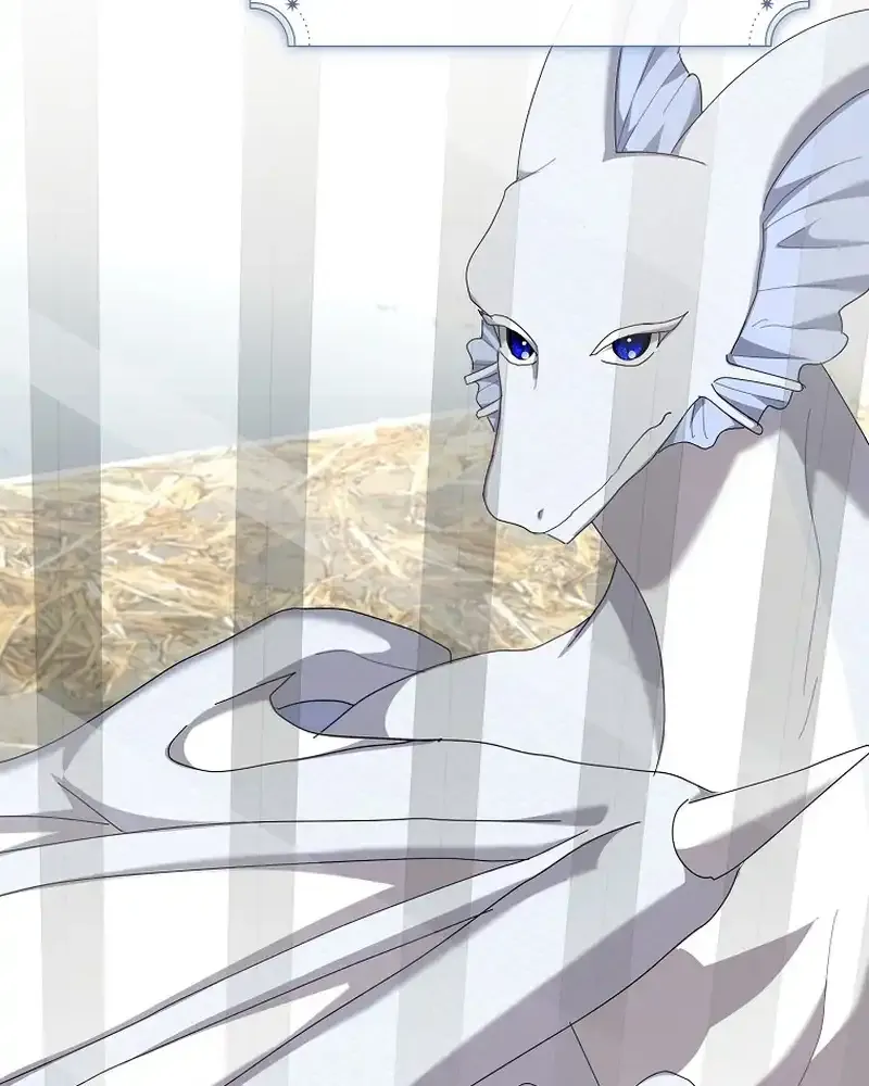 Bound To None, Your Highness Chapter 19 page 79 - 