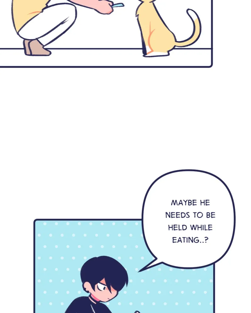 Boyfriends. Chapter 72 page 20 - 