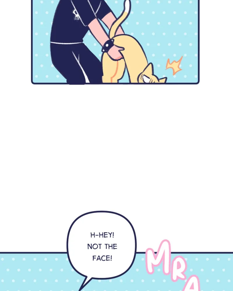 Boyfriends. Chapter 72 page 21 - 